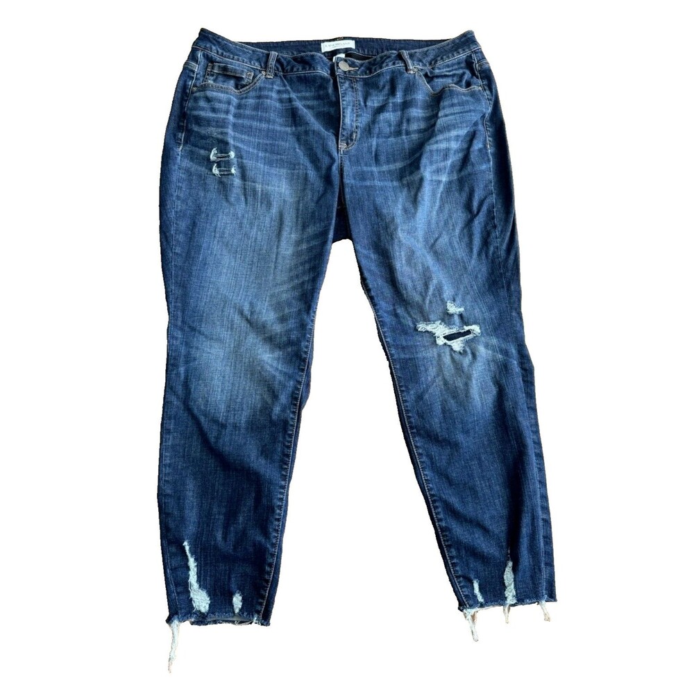 Lane Bryant Blue Skinny Jeans